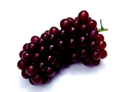 legfontosabb