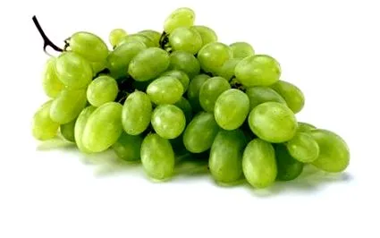 szőlő