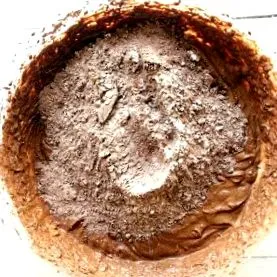 gyümölccsel