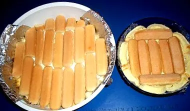 teknős