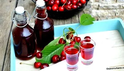 урбани чоколадо
