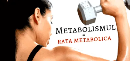metabolizme metabolizme
