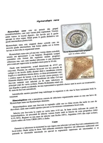 procedúr