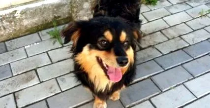 tudni ételt