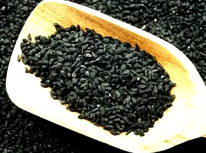 olej