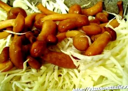 зелка печурки