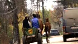 видео библиотеки