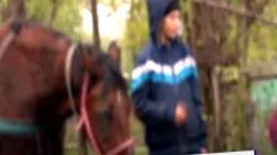 библиотеки видео