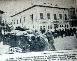 viorica