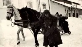 viorica
