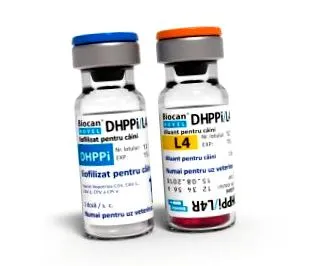 Biocan Novel DHPPi