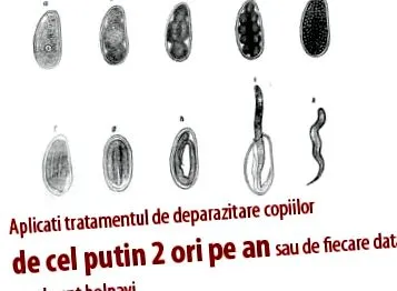 паразити