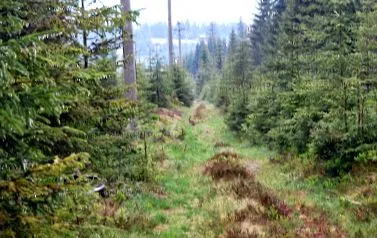 szabadidő oldal