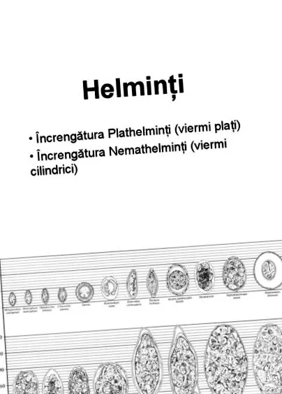 okrúhle