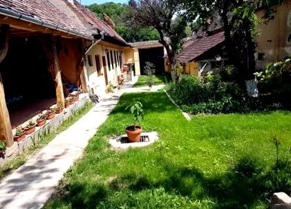 куќа вила