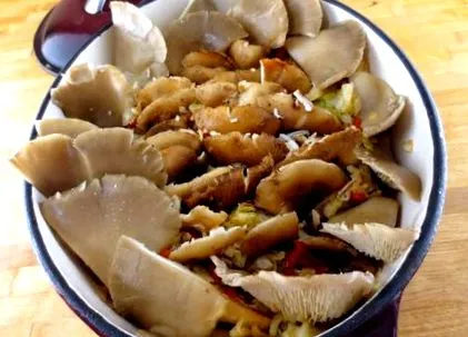 зацврстена печени