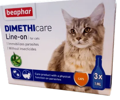 kullancsháború meleg