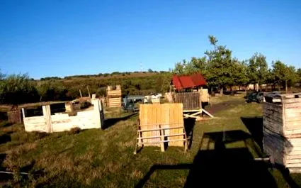 airsoft