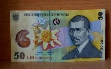 ncarea