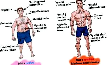 testosteronul testosteronul