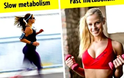 dietele