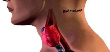 evitat