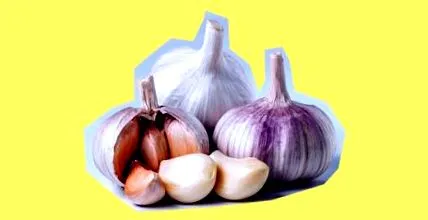 alimente care