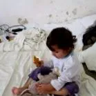 tapasztalatunk tapasztalatunk