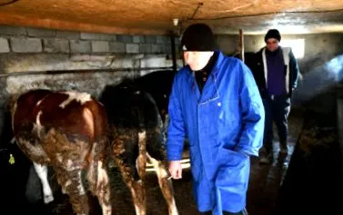 Állatblog Táplálkozást