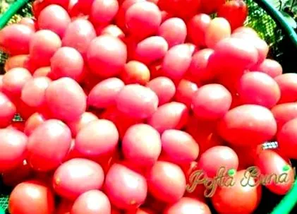 bradea-val