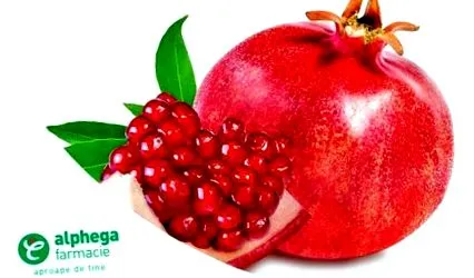 alphega gránátalma