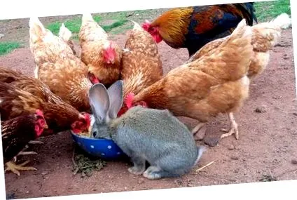 előnyei előnyei