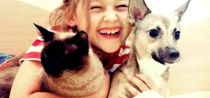 animal companie alergii