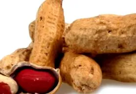 sănătății