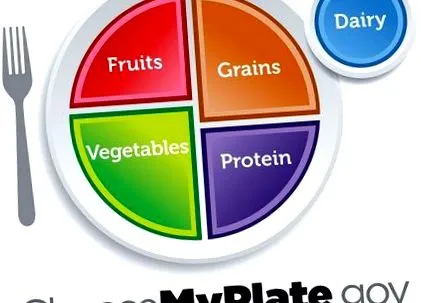 piramida myplate