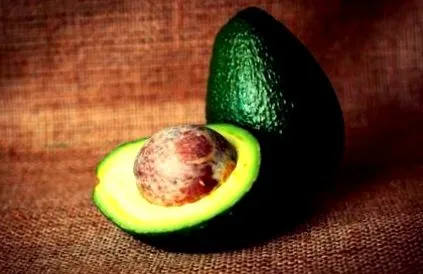 avocado