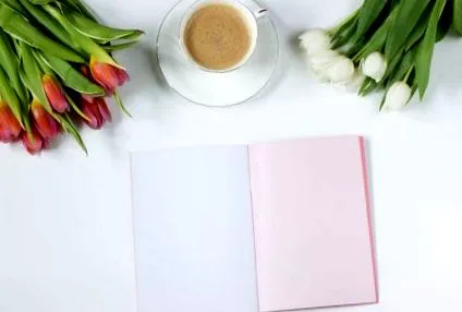 suporta