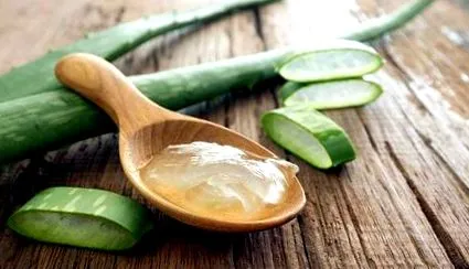 băuturi