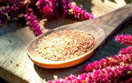 amaranth efecte