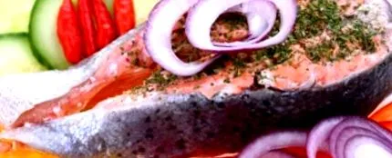 proteine dieta