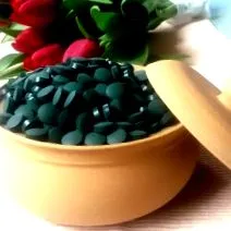 Chlorella pyrenoidosa