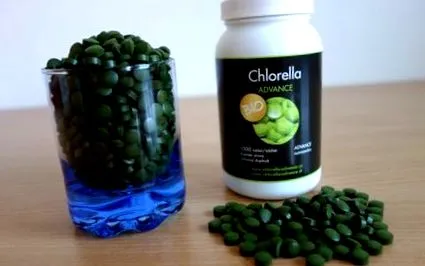 chlorella chlorella