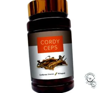 cordyceps