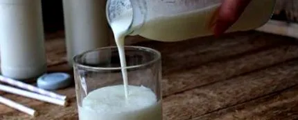 kefir