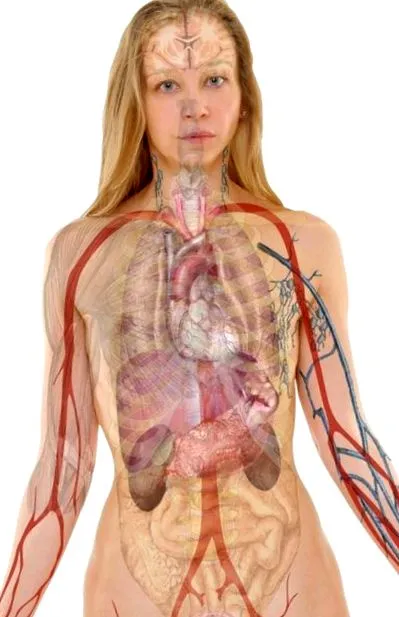 detoxifierea ficatului