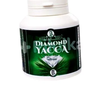 yacca experiențe