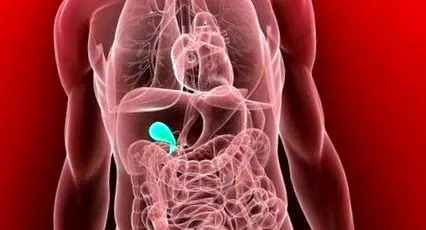 detoxifierea