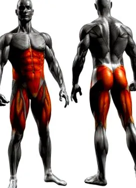 biotechusa нивото коляното