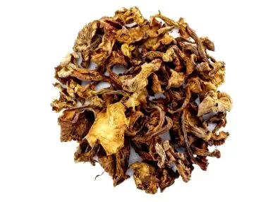 ciuperci lumea