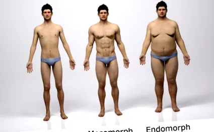 endomorf ectomorf
